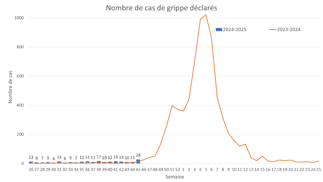 Infections respiratoires: rétrospective de la semaine du 4 au 10 ...
