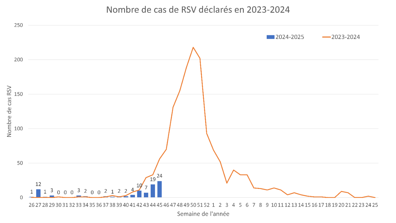 Infections respiratoires: rétrospective de la semaine du 4 au 10 ...